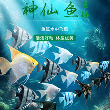 �~���^�p�~�߲������~�Ꭷ�������~�����������B��ˮС���~С����