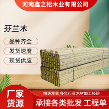 ¶̨ͥԺ��ľ�����l���mľ̼������ľ�嗣�������Ì�ľ�͸��g����