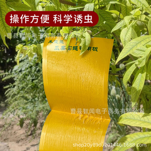 ��ω�N���@ճω��ωճ�z��ճ�x��Ϲ���ω�T��ᘷ�ճω���T���N