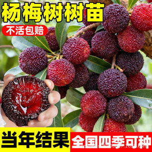 �޽Ӗ|����÷�����ش�ڸ߷�ˮ������ͥԺ������ϱ����N����Y��