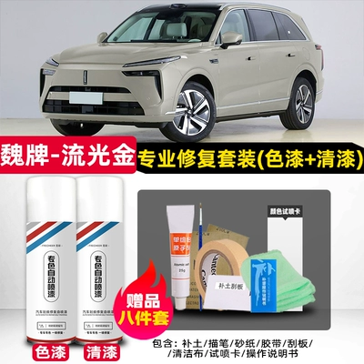 paint, self-applied spray paint, car paint: Avtomobil boya qələmləri - wey-blue-mountain-glowing-gold-original-factory-self-applying-car-paint-set-4s