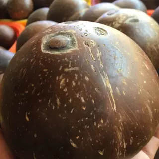 Hainan coconut king old coconut wholesale coconut chicken coconut flesh coconut meat for juicing soup making