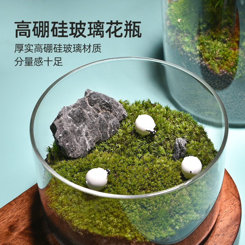 外国貿易の小さい景観のガラスの花瓶の置物の水培の生態の花瓶のコケの容器の卸売りの多肉の植木鉢のガラスの缶|undefined