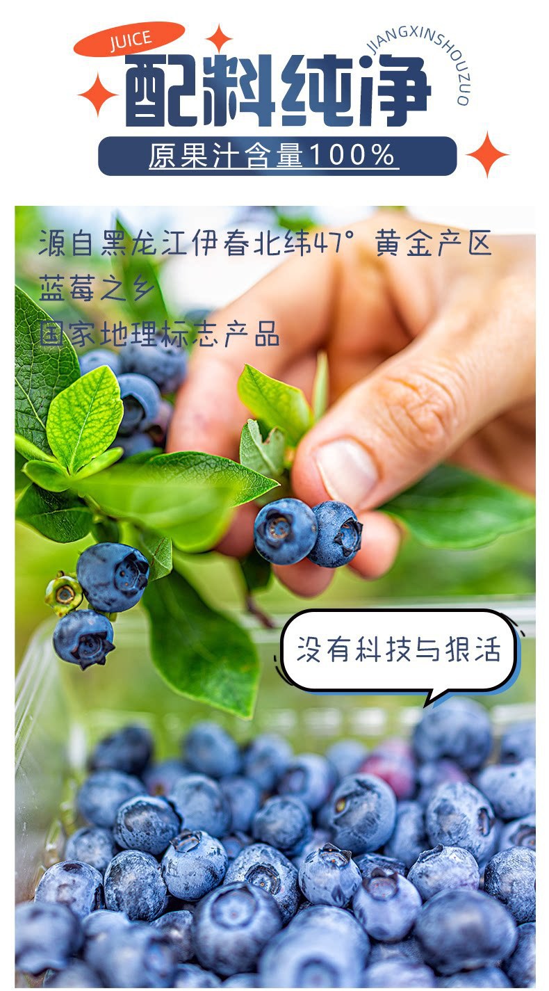 Blueberry Carrot Concentrated Juice 100ml Can Refreshing Summer Drink in use