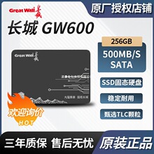 ���ó���GW600 256GB ��̬Ӳ�� SATA3.0 �ʼǱ�̨ʽ GW600256G
