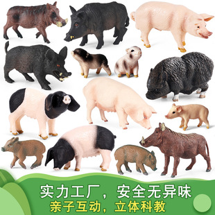 ���挍��С�i�̼���ĸ�iҰ�iģ�̈́��﹫��ż�[����ͯ�J֪�Y�����