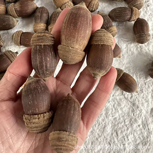 �����������������ֲ��˱��Ą��������ӹ��ֹ�DIYԭ�������l