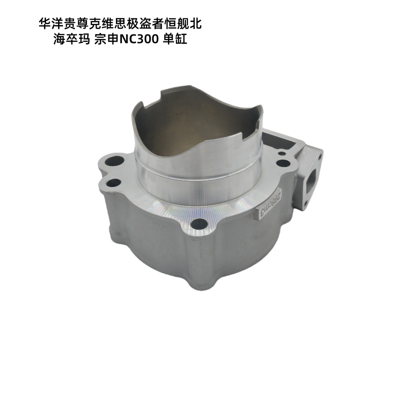 Ready-Stock Motorcycle Parts Suitable for Huayang Guizun Hengjian Beihai Zuoma Zongshen Nc300 Dual Cam Cylinder Kit