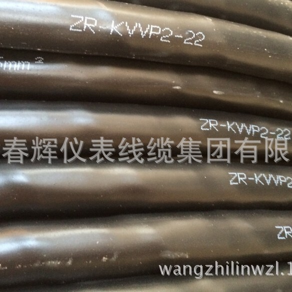 控制电缆ZR-KVVP2-22屏蔽控制电缆