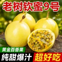 【2026 white dew special】pure sweet, no-acid passion fruit | golden fruit, freshly picked and shipped
