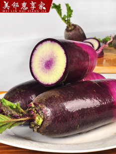 ����������2025�±�������Ƥ�}������ˮ��������}���H���}��