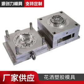 注塑模具塑胶外壳模具加 工开 模注塑加 工定 制花洒塑胶模具批发