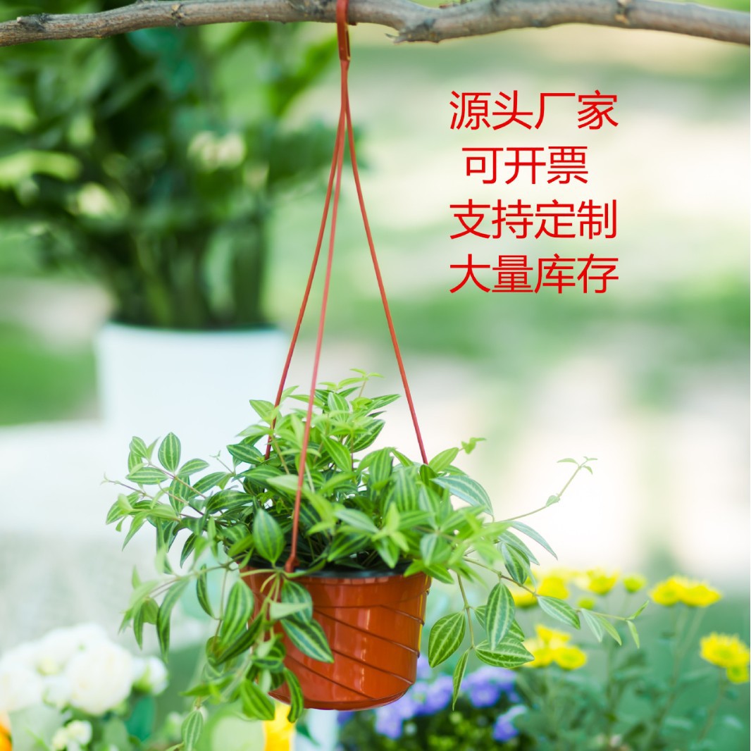 Spider plant pot plastic flower pot green idiox Buddhist beads…