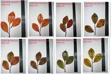 ���R�d�S�����l�����＾�������m�~�Gֲ������w����F�����m�~