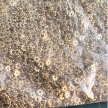 ��ʽ�S�~ѩ����Ƭ÷��Ƭ�������������L�Ʒ����������