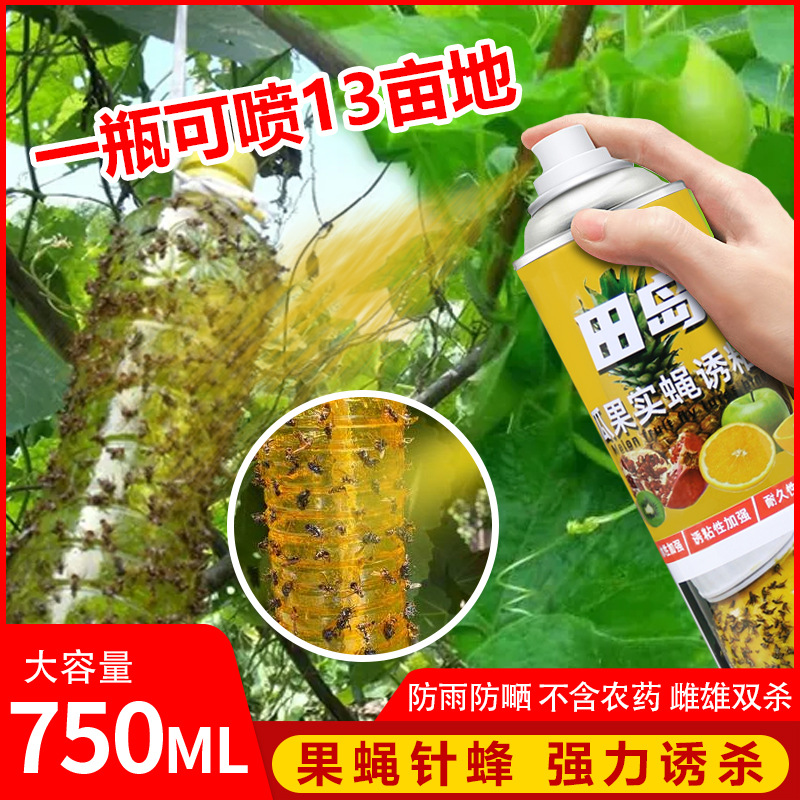 Fruit Fly Insecticide Group Fly Trap Sticky Agent for Eliminating and Killing Natural Sticky Agent Special Needle Bee Sticky Insect Board