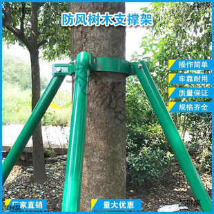 ��ľ֧�μ�֧�ΗU���@��֧�ܷ��L�����\䓹̶ܹ���֧�G����ľ