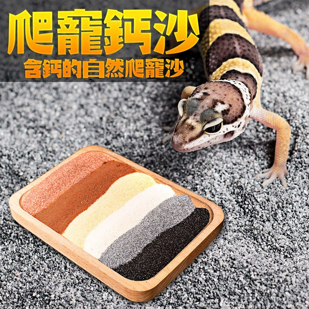Рептилия рептилий, рептилий, песчаный материал для защиты окружающей среды
