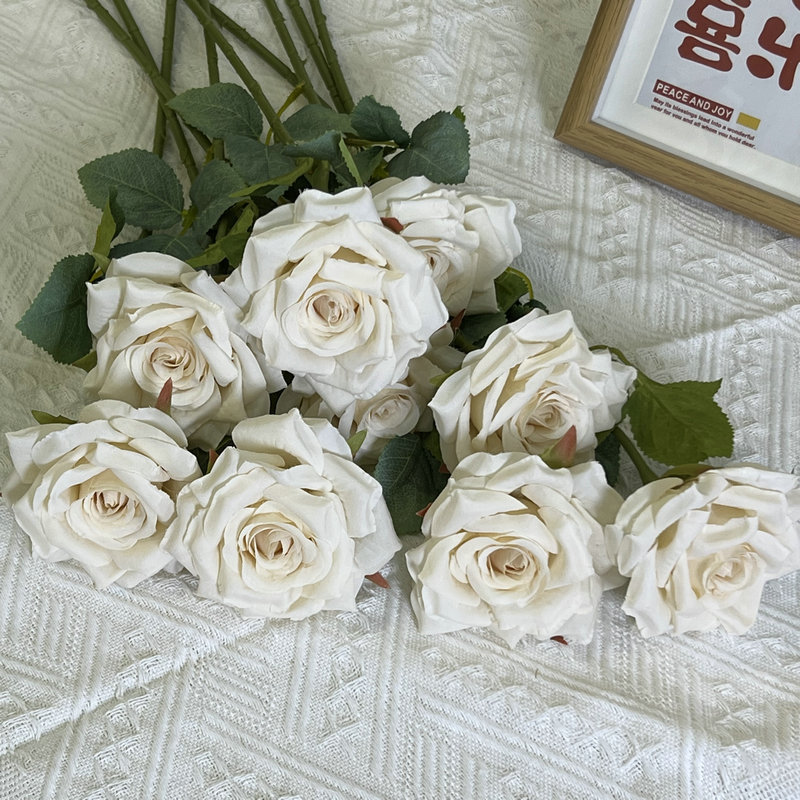 가을 화이트