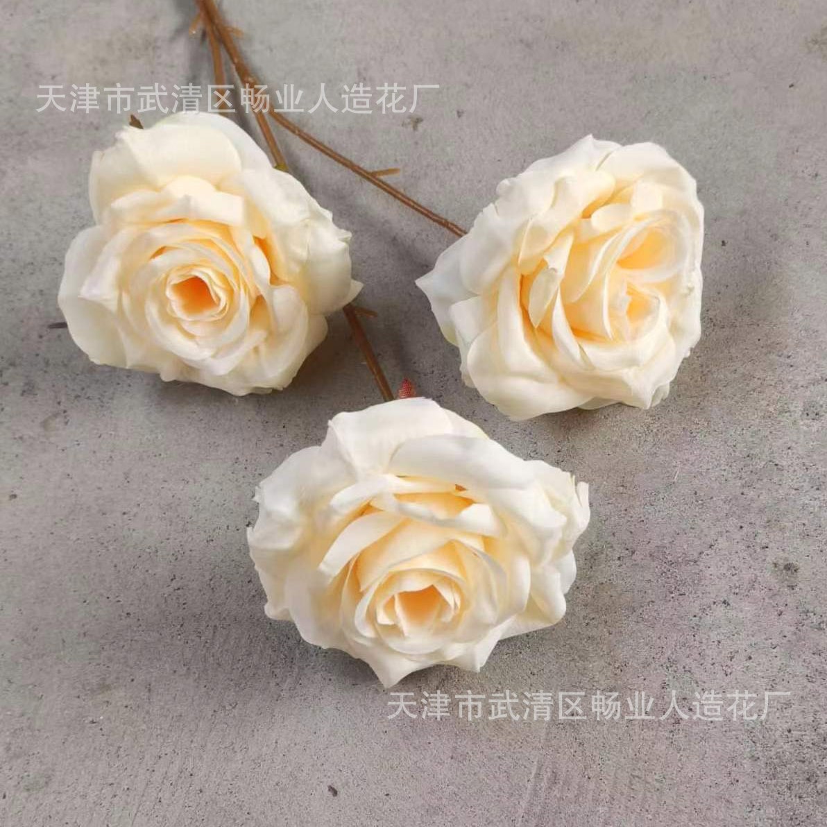 세 장미.