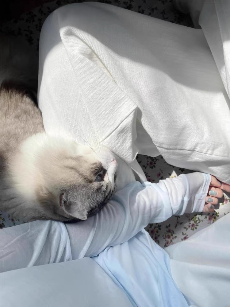 11fd3f2e-8f34-4b55-994c-75a1bbe41e82.jpe