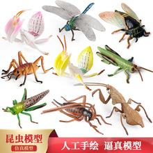 �������ģ��֪�˺����������ѿ��~����m�������͐����ͯ���