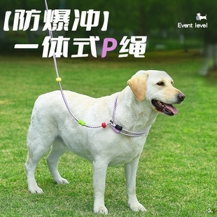 Multifunctional Collar and Leash Harness for Dogs to Prevent Break-Away When Walking Outside, Adjustable Pet Leash with P-Chain