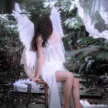 �B�����ߺ�ɫ��ʹ�����ë��̖�f�}�������鼆�Ɍ�����Ӱ������