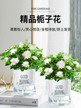 �d�ӻ����Ԏ������׻�ˮ��ֲ��Gֲ�҃Ȼ��������r���ļ��_�����l