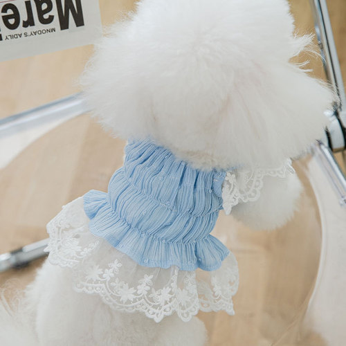 Spring and summer thin breathable dog skirt lace chiffon polka dot cute princess skirt cat feet pet clothes