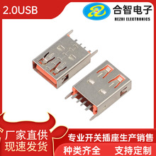 ҹӦAF 2.0 USBֱĸȽ17.5ֱֱʽĸ
