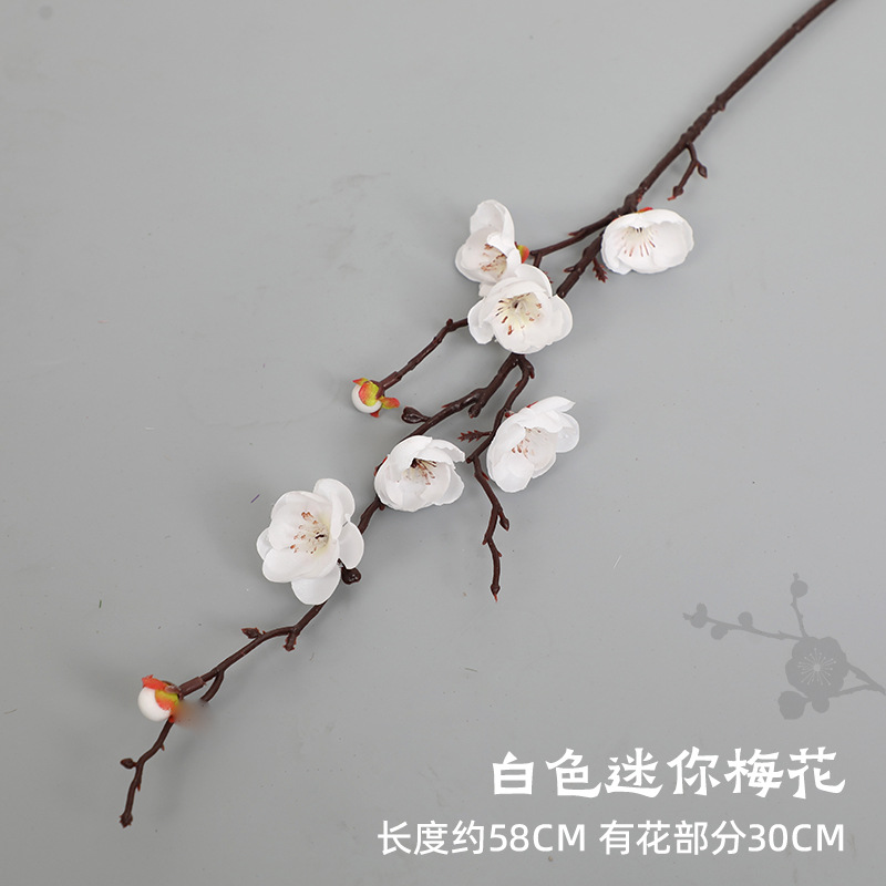 흰색 미니 매화