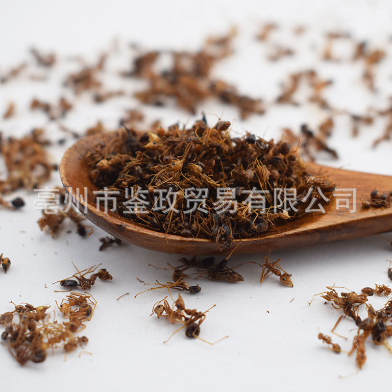 Dried Black Ant Whole Insect 500g Traditional Chinese Herbal Material for Infusion and Decoction Use specifications