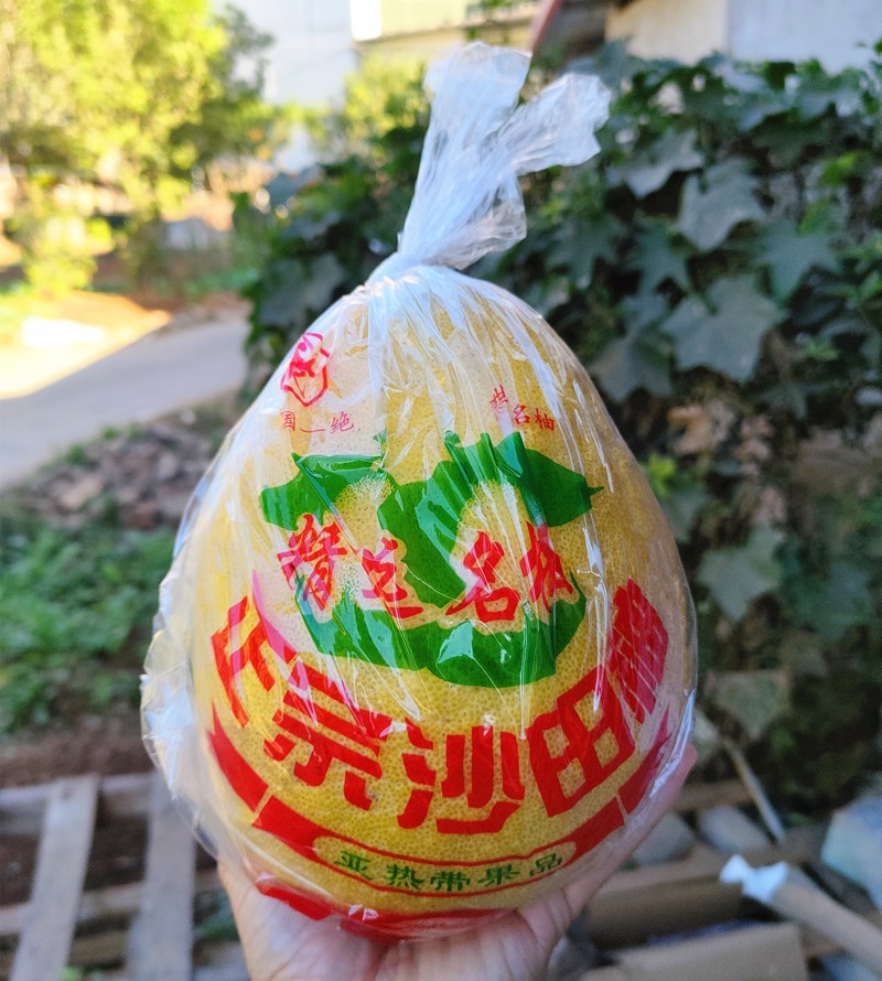 [No contiene pomelo] Embalaje tres carne roja pomelo Majia pomelo fresco azúcar cristalino Shatian pomelo Meizhou Golden Pomelo bolsa de regalo