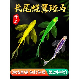 �������R�~�Lβ�L�������G�^�p�~���P��ˮС�͵�ˮ���BС���~