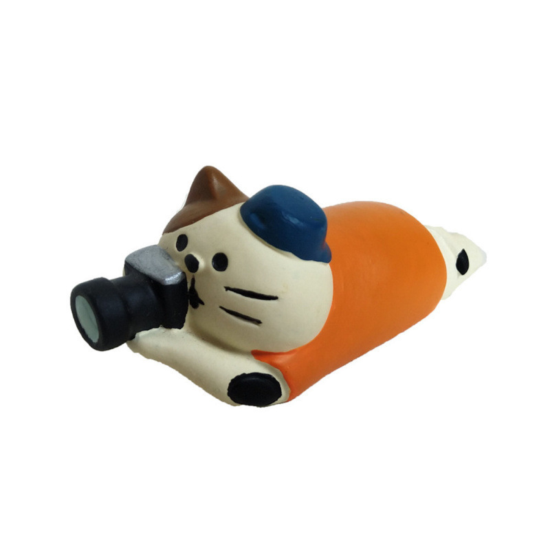 잠자는 사진 고양이