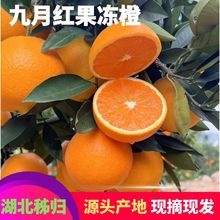 ���w��Ⱦ��¼t��tĚ�ȬFժ���r�����ք��ȶ�֭ˮ���a�ع��@����