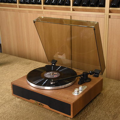 Cross -Bordder Spot Vinyl Recorder вокальный динамик Bluetooth Audio Wooden Player Swing Retro Singer Gift LP