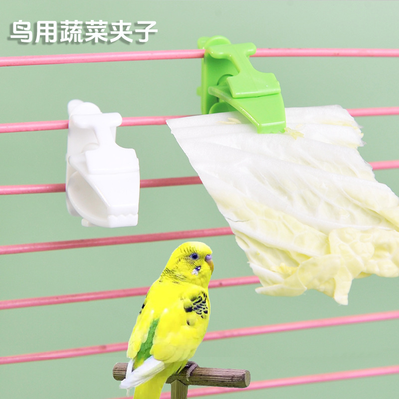 鹦鹉蔬菜夹水果叉墨鱼骨宠物固定夹子零食谷子穗鸟笼多功能食物