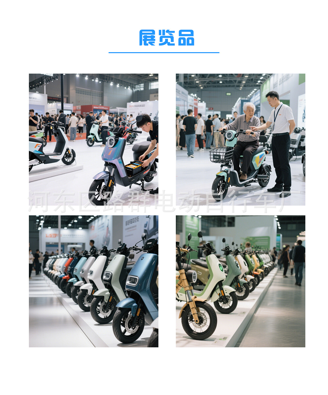Factory Adult Electric Bicycle, Small Electric Motorcycle, Long-Distance Riding King, Mini Taxi, Electric Vehicle, Mini Portable