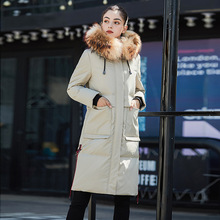 2025WqqŮLëIӺůBñɿ˷