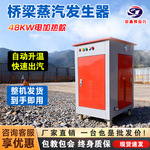 桥梁梁场养生蒸汽发生机全自动电蒸汽锅炉环保锅炉混凝土厂家直销