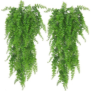 Cross-border Persian Grass Simulation Wall Hanging Artificial Plant Boston Fern False Vine Hanging Decorative Green Plant