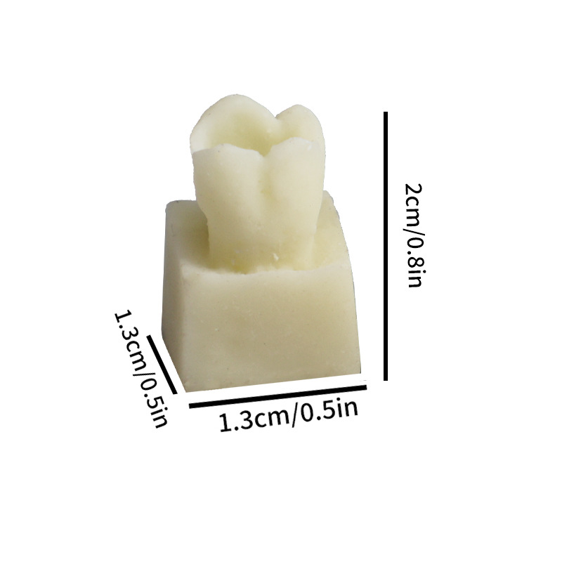 Ejercicios de inserción de resina diente granular modelo de ejercicio de relleno dental modelo de ejercicio de relleno de resina oral
