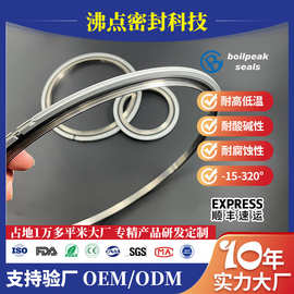 半导体真空系统管路密封圈全氟ORING 1-1/2