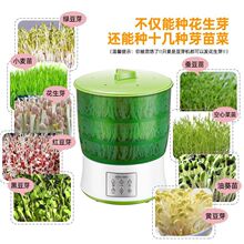 ѿCѿCȫԄ؃rlļѿ˹Ͱ