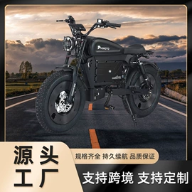 电动摩托车;其他电动车;儿童电动车