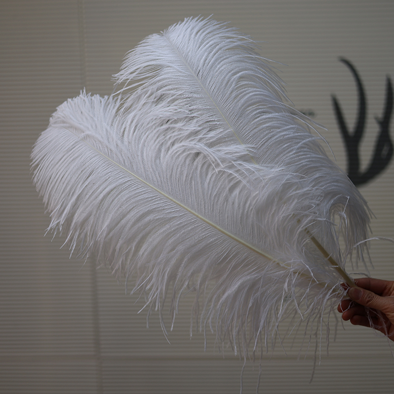 Plumas de avestruz bodas blancas de avestruz guía de plumas accesorios de fotos adornos rojo rosado en línea grandes plumas decoración