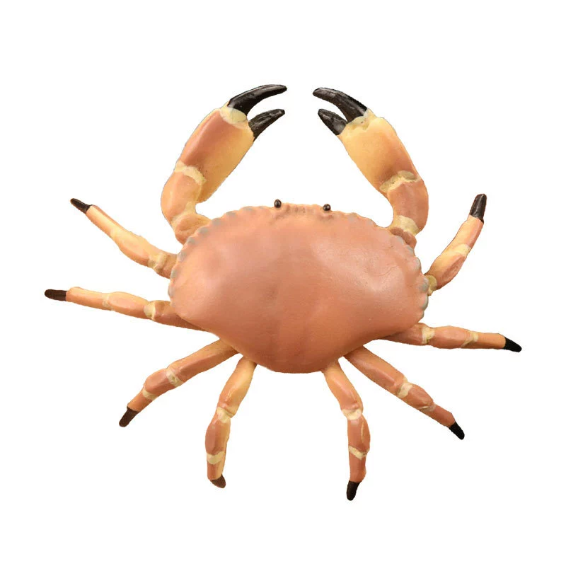 Realistic marine plastic cognitive minifigure, simulation modeling for children, bread