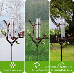 �羳�������~���������@�����ƺ�b��P�p�̶�����Ӌ�y�������